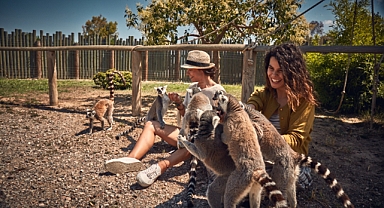 İzmir Doğal Yaşam Parkı yeni yıla yenilenerek giriyor