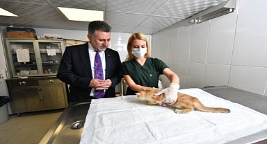 Can dostlara sıcak yuva ve mama desteği