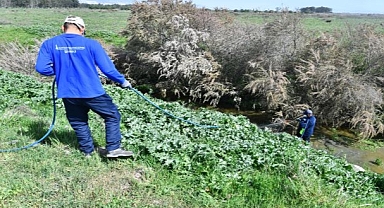 İzmir Büyükşehir Belediyesi ilaçlama çalışmalarına hız verdi