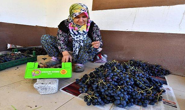 Hem üreticiye hem dar gelirliye destek