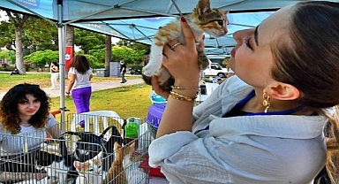 İzmir'de sahiplenilen hayvanlar ücretsiz kısırlaştırılacak