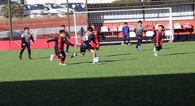  12 Takım, 240 Sporcu