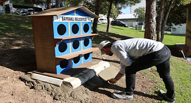 Sokak Hayvanlarına Yeni Yuva