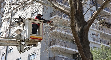 Parklara Kapsamlı Bakım 