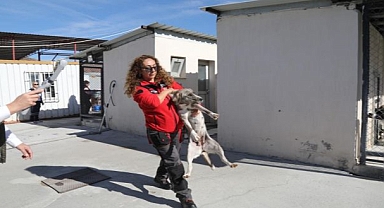 Hayvan Barınağında Orman Yangını Tatbikatı