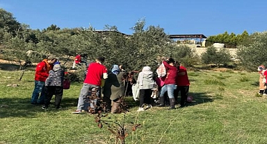 Engelli yurttaşlar ve yakınları zeytin hasadında buluştu