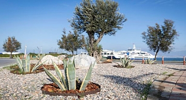 İzmir'in çehresi su tasarruflu bitkilerle güzelleşiyor