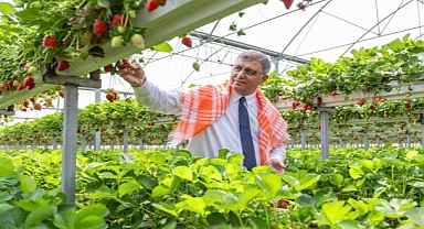 Sofrada adalet için İzmir hamlesi